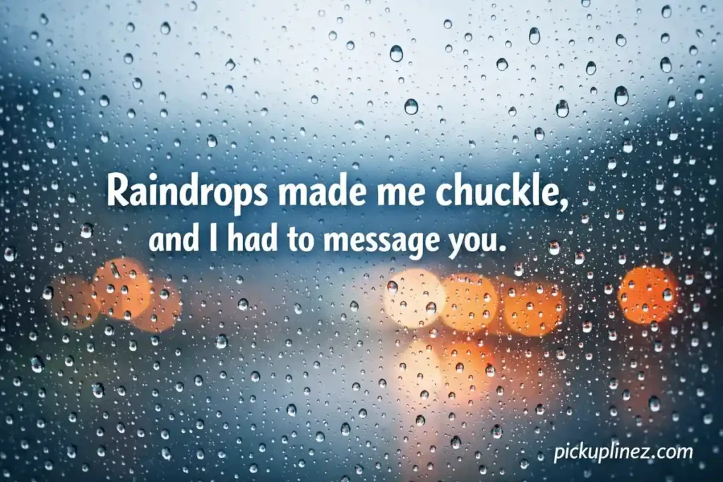 Window Puns to Peek Through for Joy