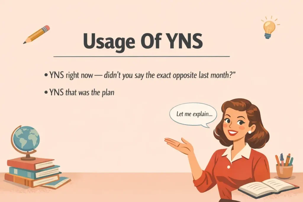 usage of yns in sentences